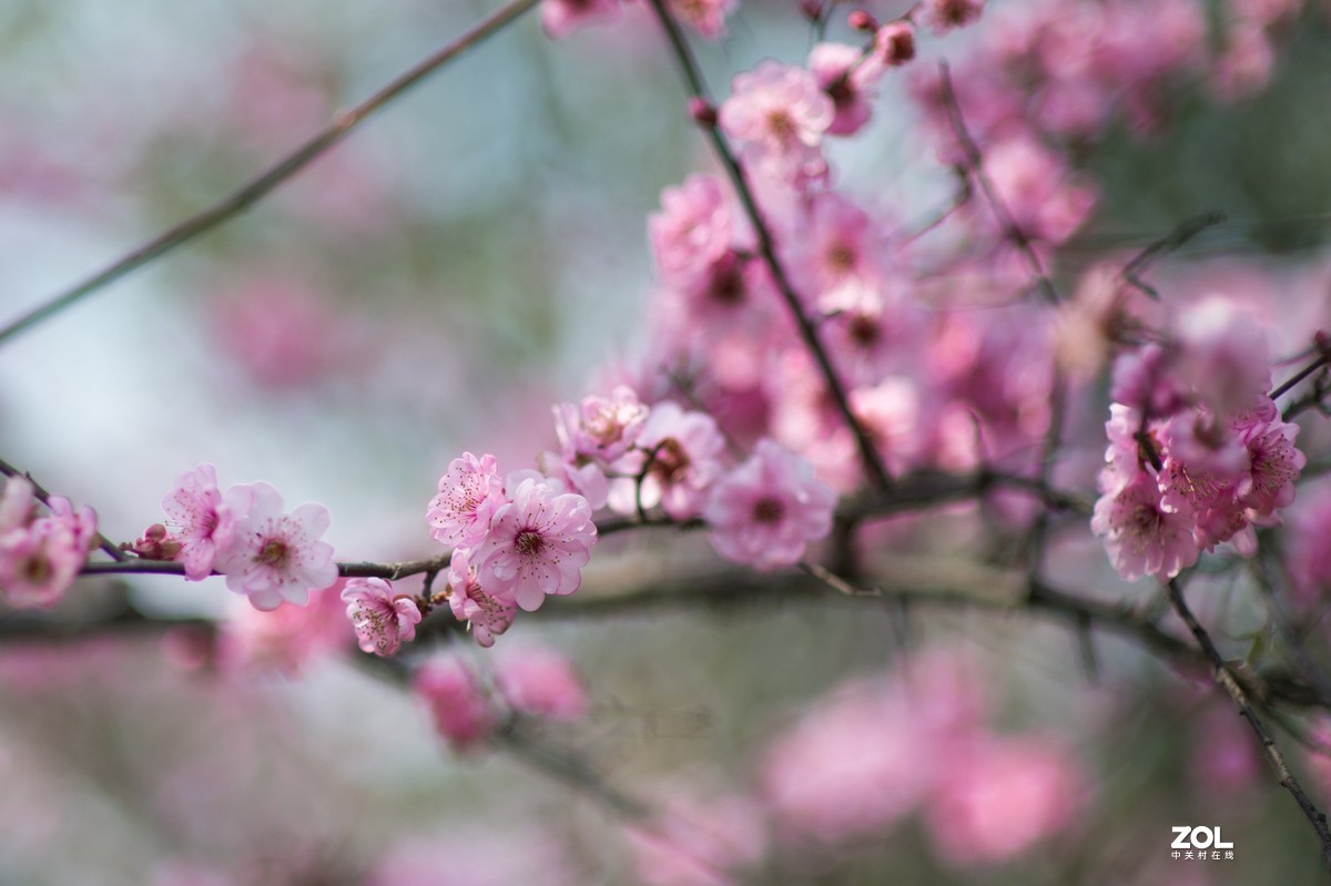 2021武汉梅园人像随拍