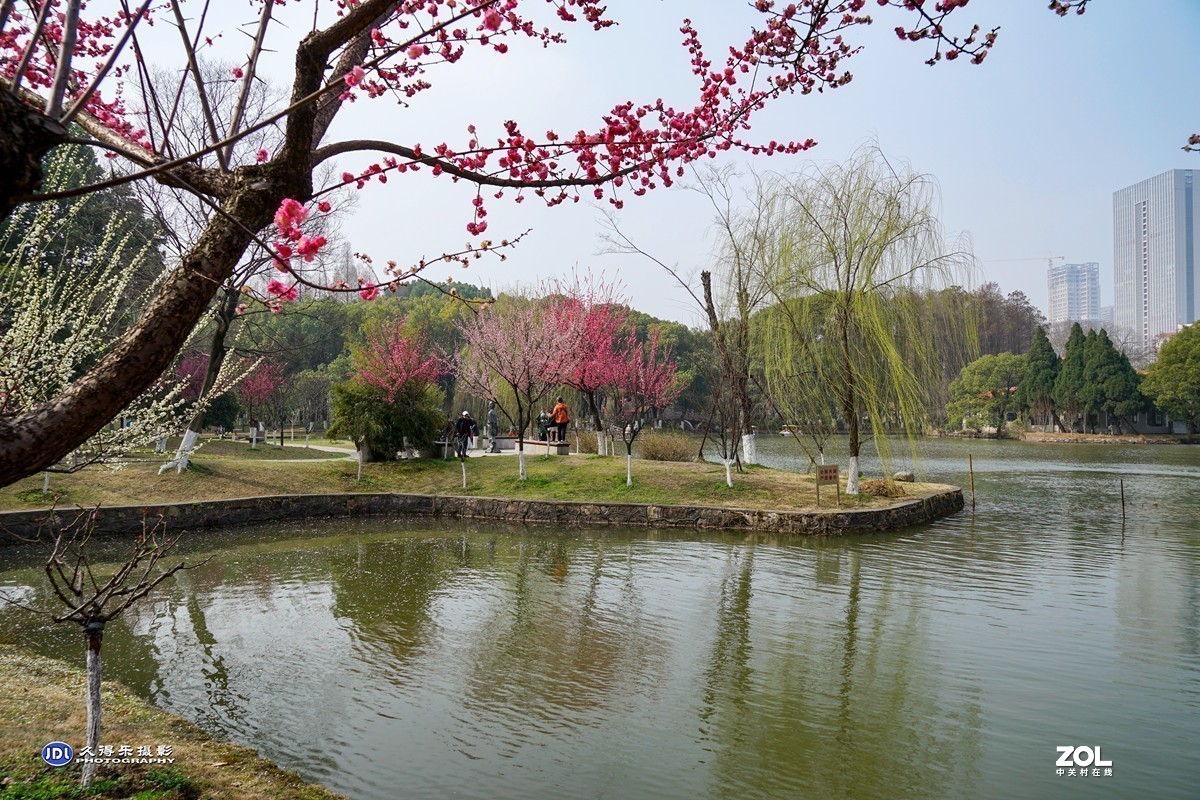 #版主坐堂#小五星空(中国)2021年3月精品荟萃