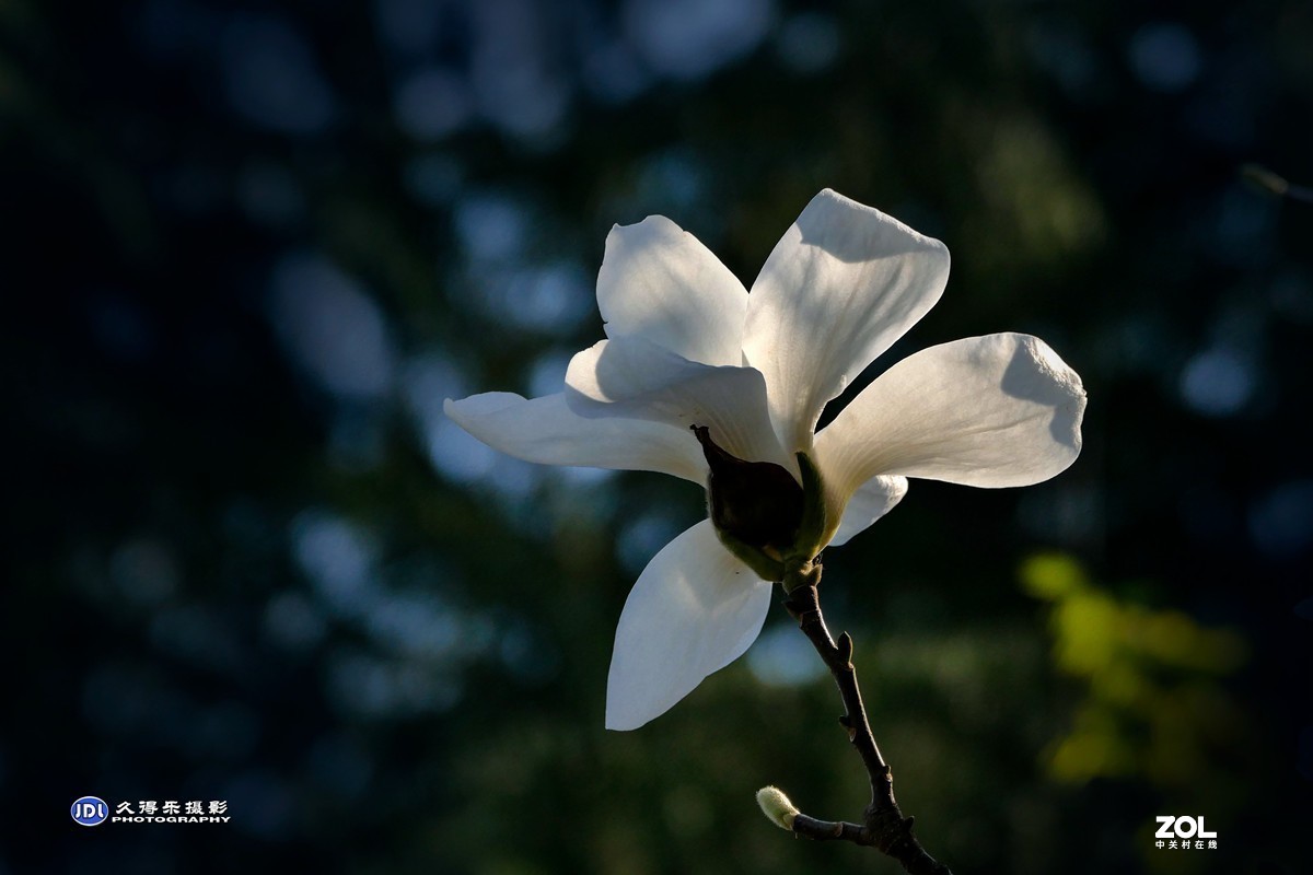 #版主坐堂#小五星空(中国)2021年3月精品荟萃