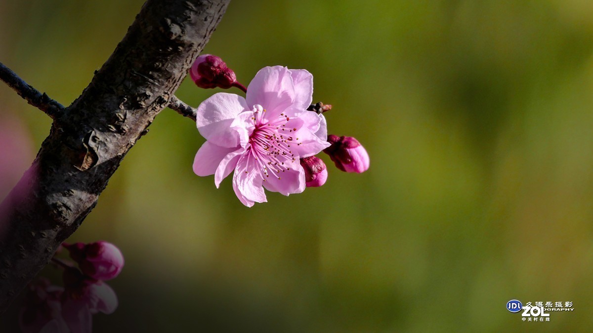 #版主坐堂#小五星空(中国)2021年3月精品荟萃