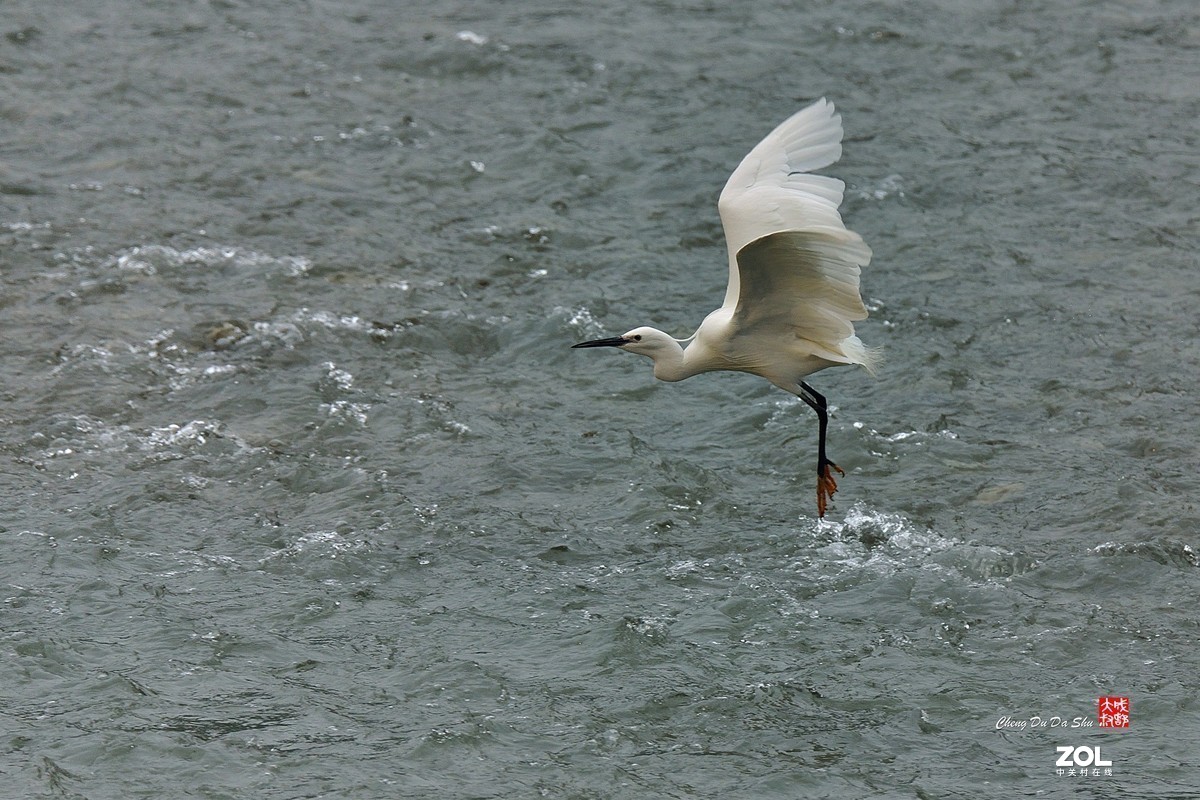 #版主坐堂#小五星空(中国)2021年3月精品荟萃