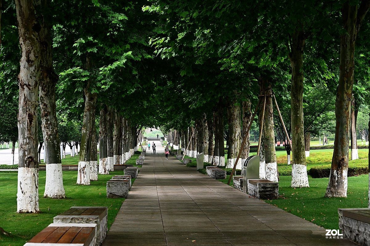 慢游东三省一重庆中央公园8去合肥论坛学习