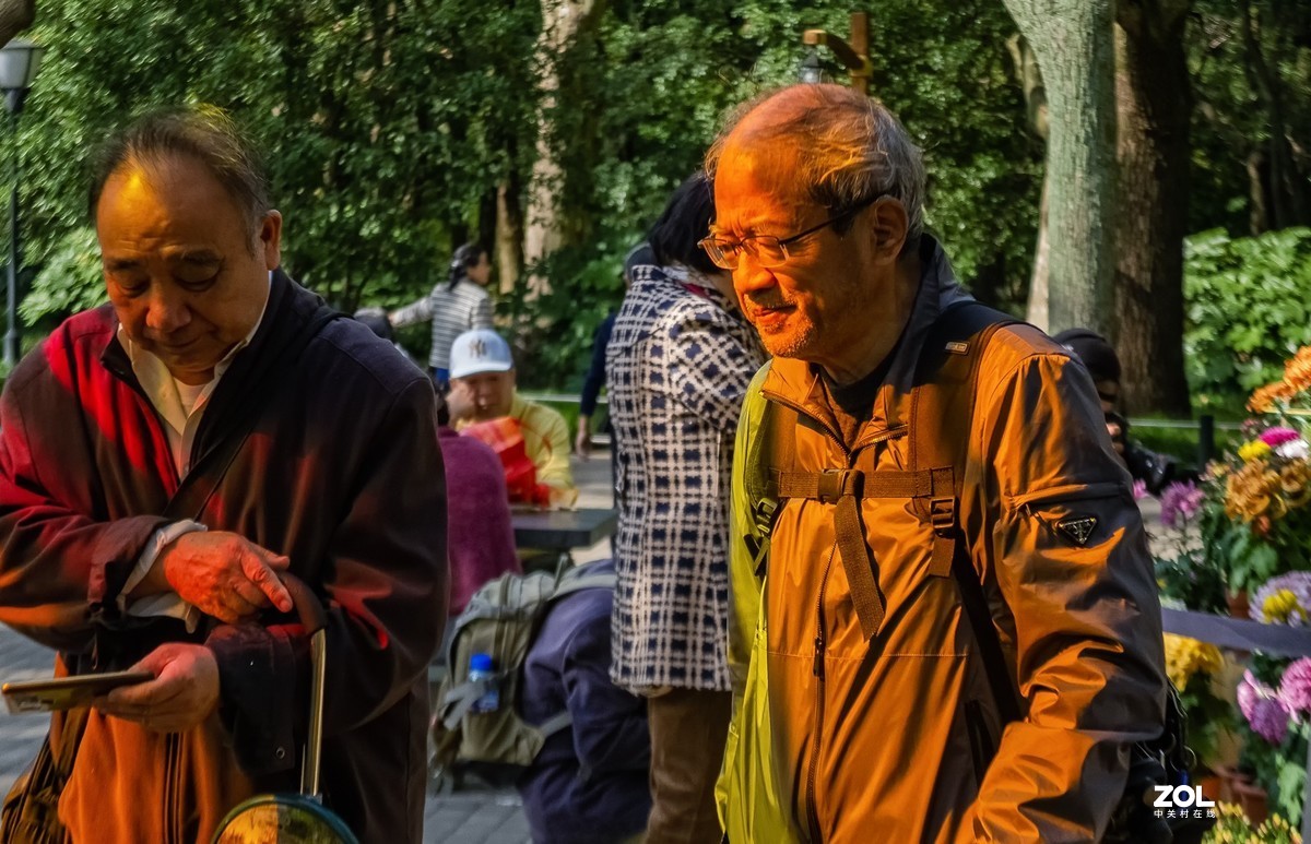 菊花展人物随怕