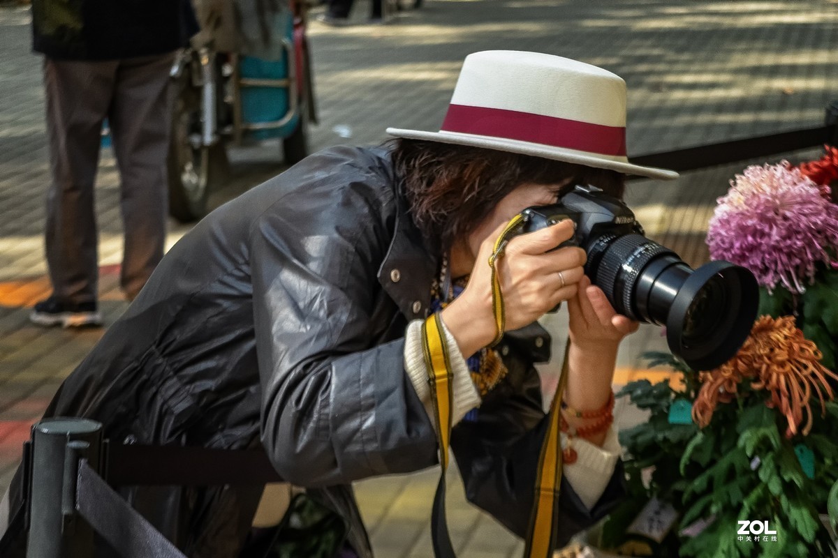 菊花展人物随怕