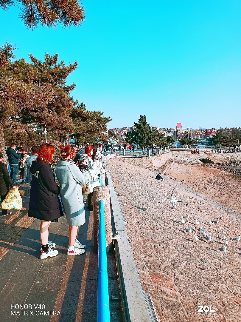 继续试验手机拍片，在手机上看还凑合，上了电脑惨不忍睹！哈哈！！