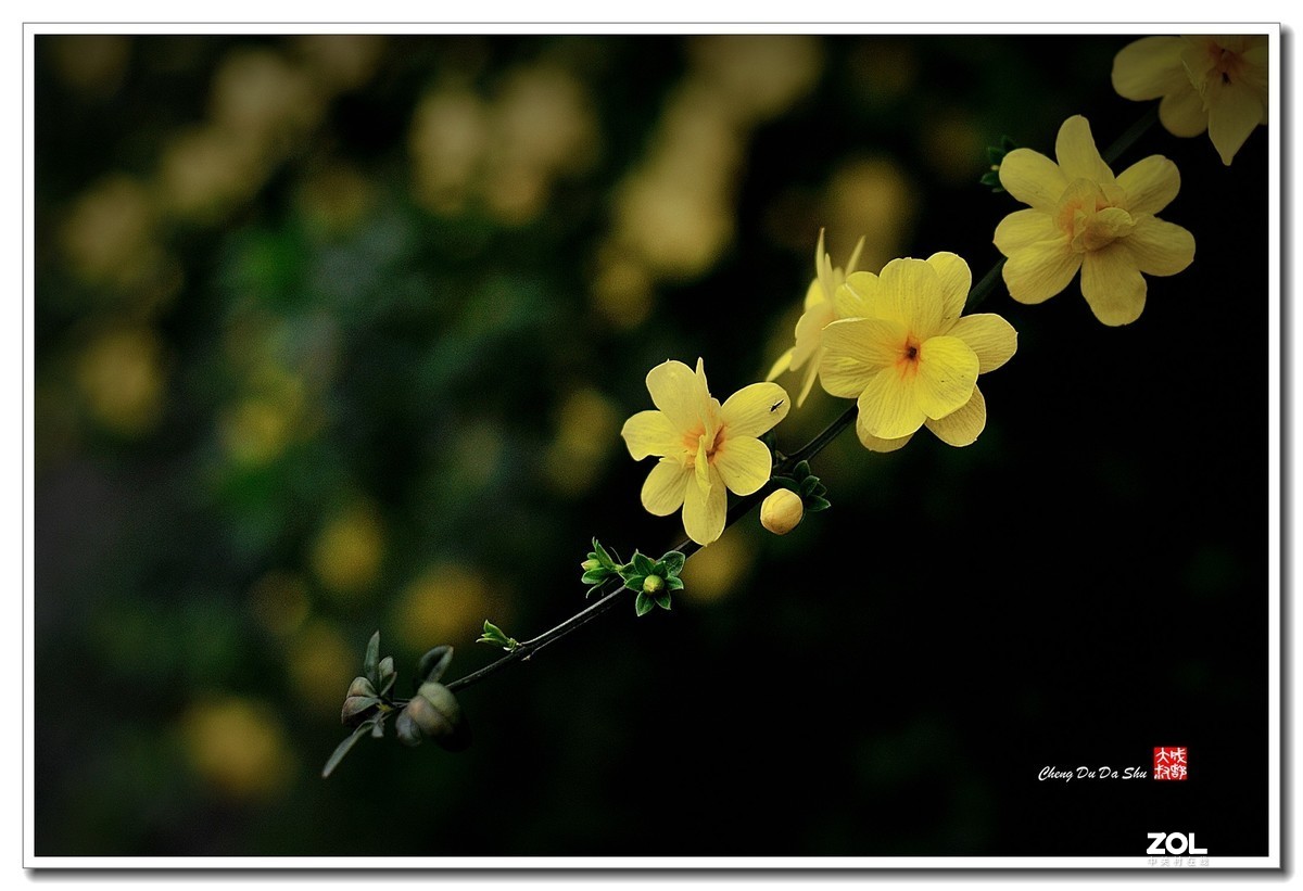 #版主坐堂#小五星空(中国)2021年3月精品荟萃