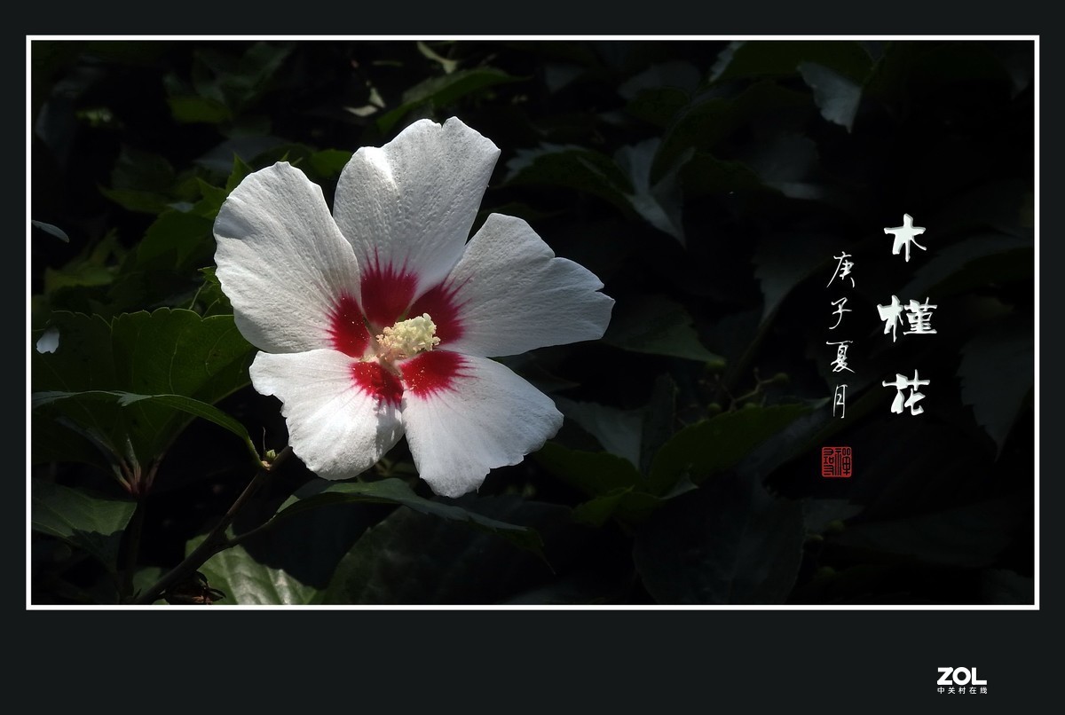 #版主坐堂#小五星空(中国)2021年3月精品荟萃