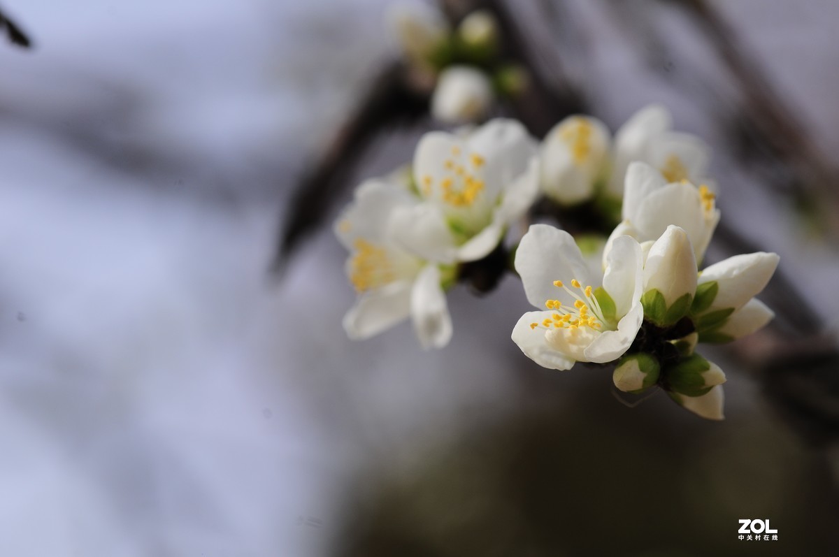 #版主坐堂#小五星空(中国)2021年3月精品荟萃