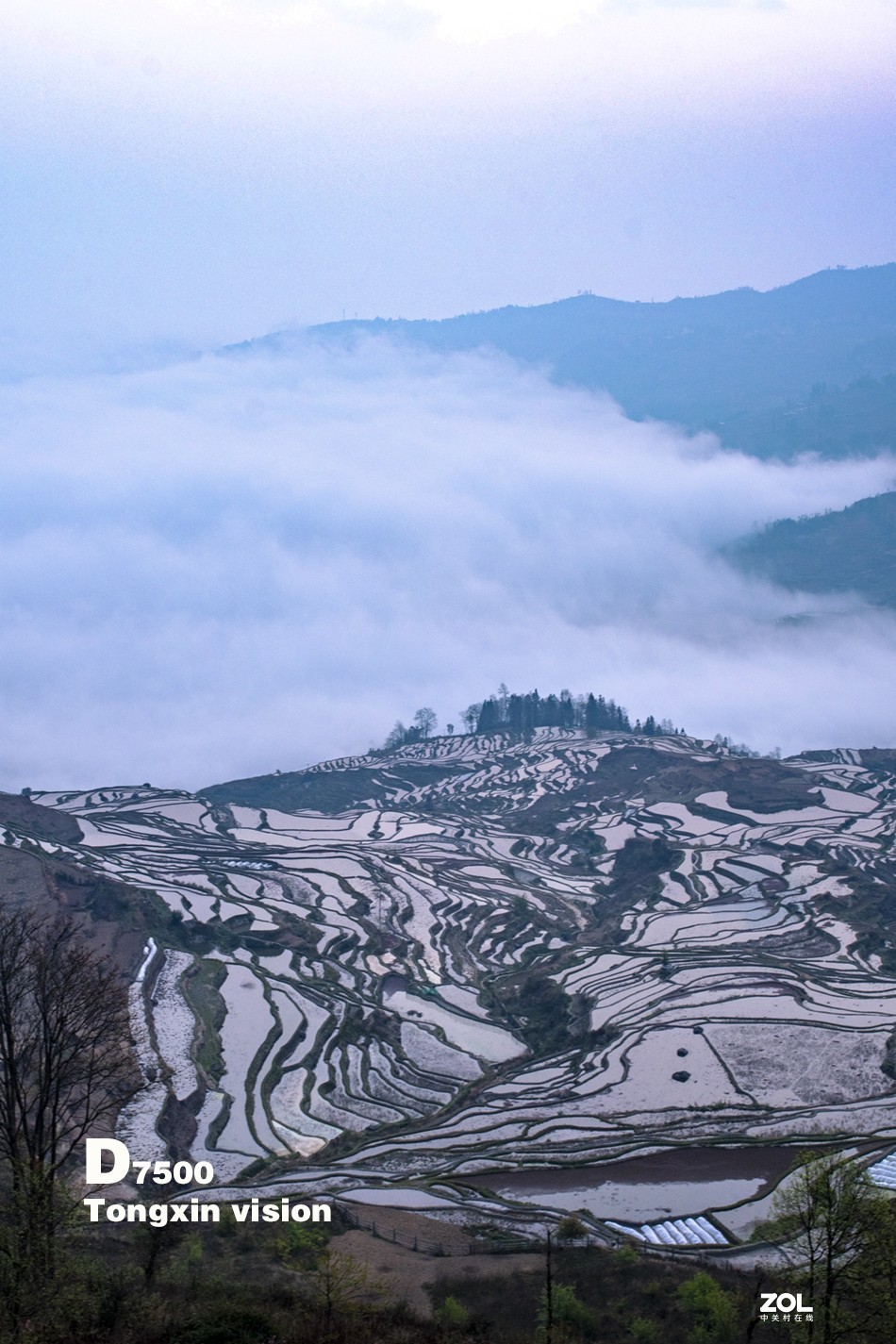 #版主坐堂#小五星空(中国)2021年3月精品荟萃