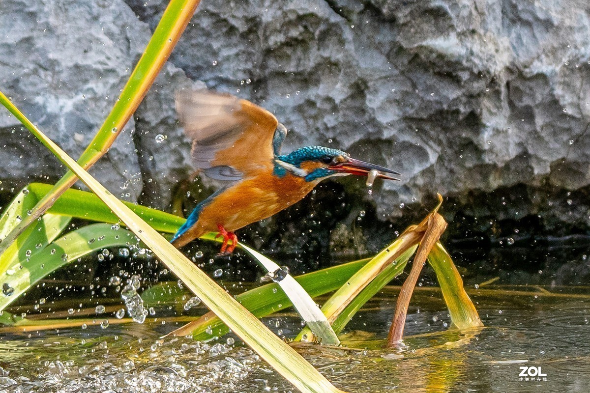 #版主坐堂#小五星空(中国)2021年3月精品荟萃