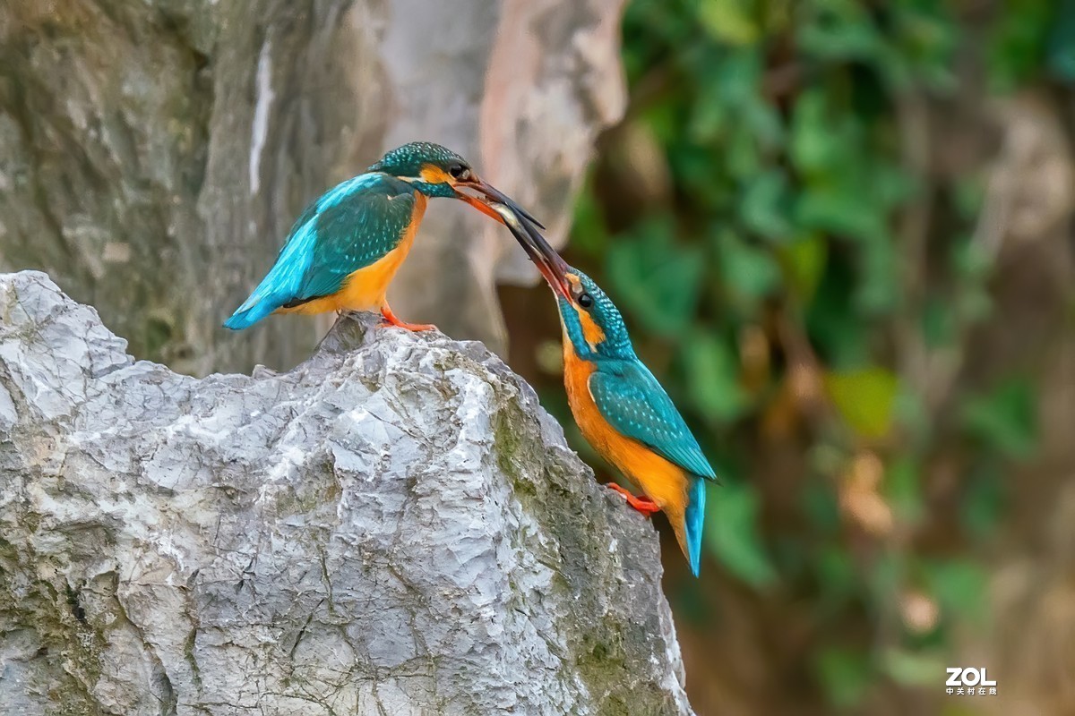 #版主坐堂#小五星空(中国)2021年3月精品荟萃