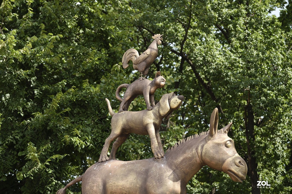 以下犯上（叁）24-70F/2.8G对比24-120F/4G（下）