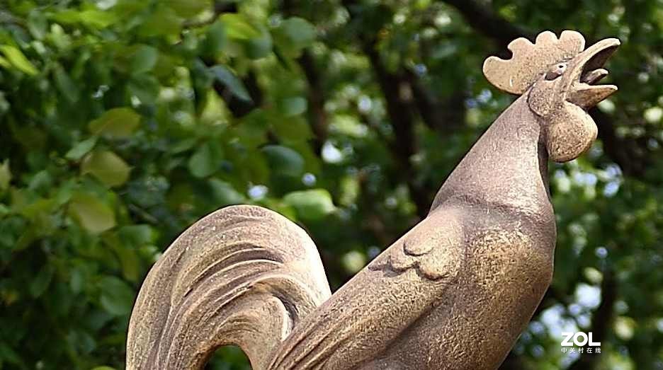 以下犯上（叁）24-70F/2.8G对比24-120F/4G（下）