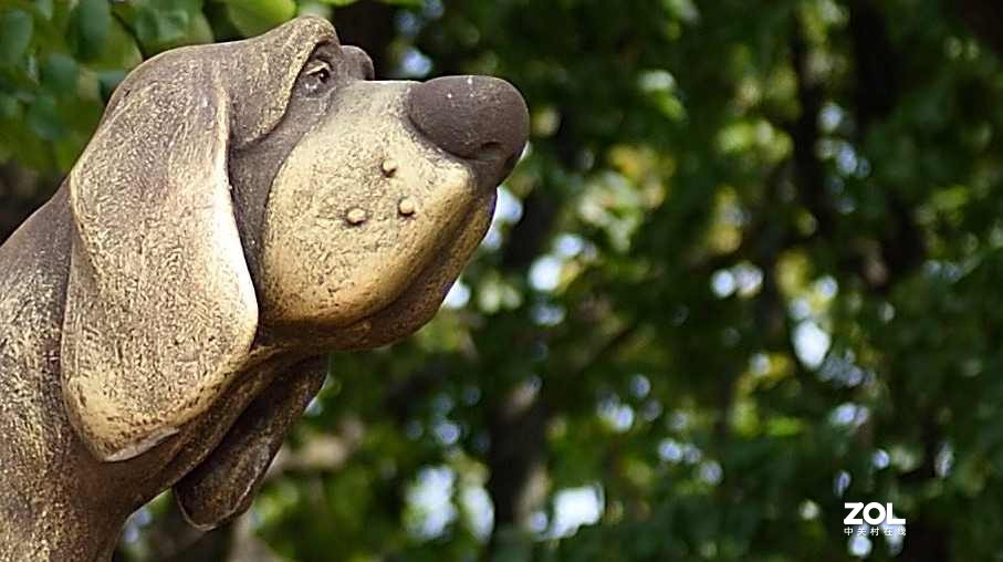 以下犯上（叁）24-70F/2.8G对比24-120F/4G（下）