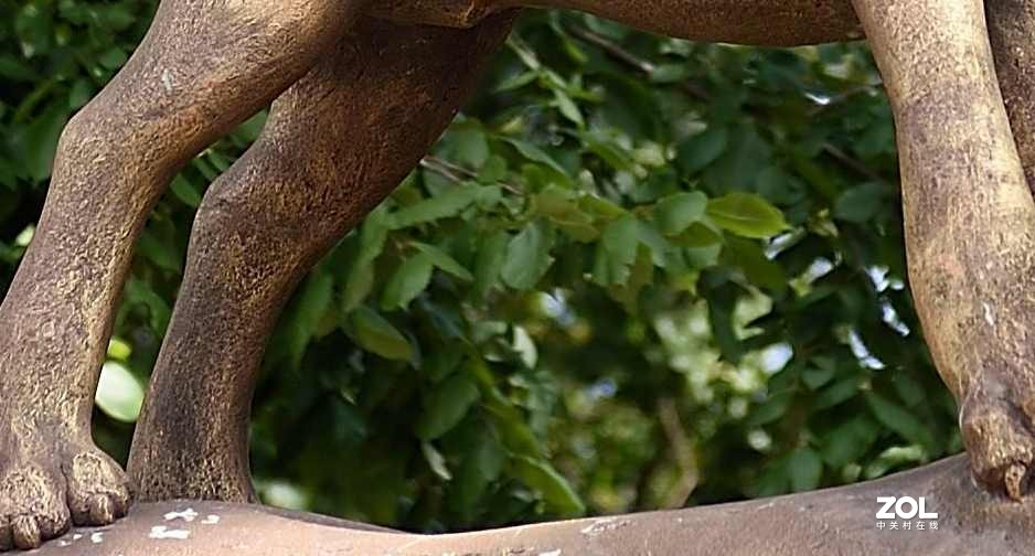 以下犯上（叁）24-70F/2.8G对比24-120F/4G（下）