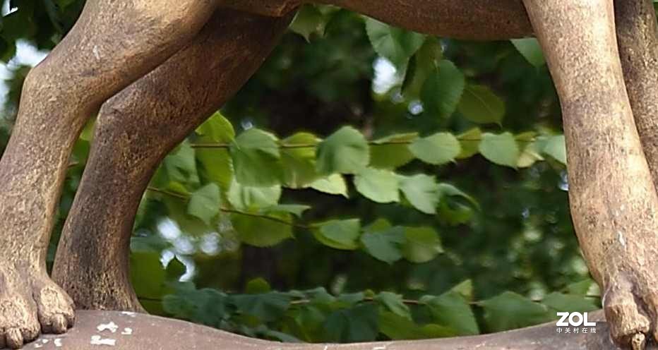 以下犯上（叁）24-70F/2.8G对比24-120F/4G（下）