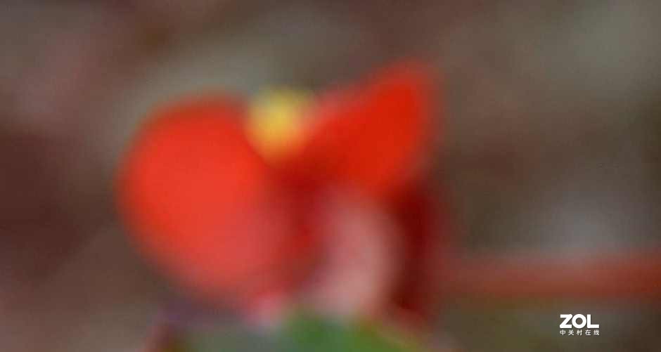 以下犯上（叁）24-70F/2.8G对比24-120F/4G（下）