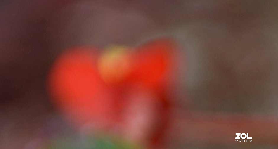 以下犯上（叁）24-70F/2.8G对比24-120F/4G（下）