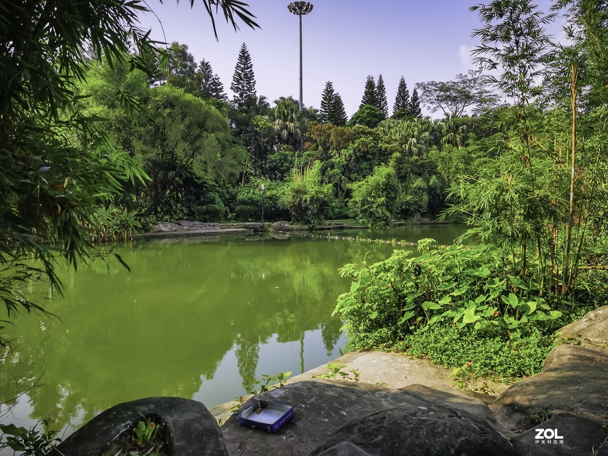 深圳東湖公園 ~ 掠影