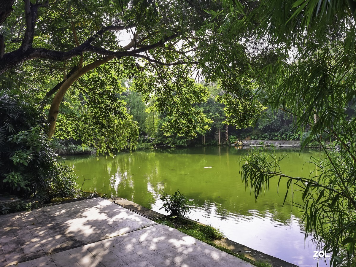 深圳東湖公園 ~ 掠影