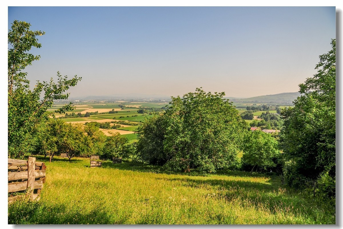 原野德国高黑森林