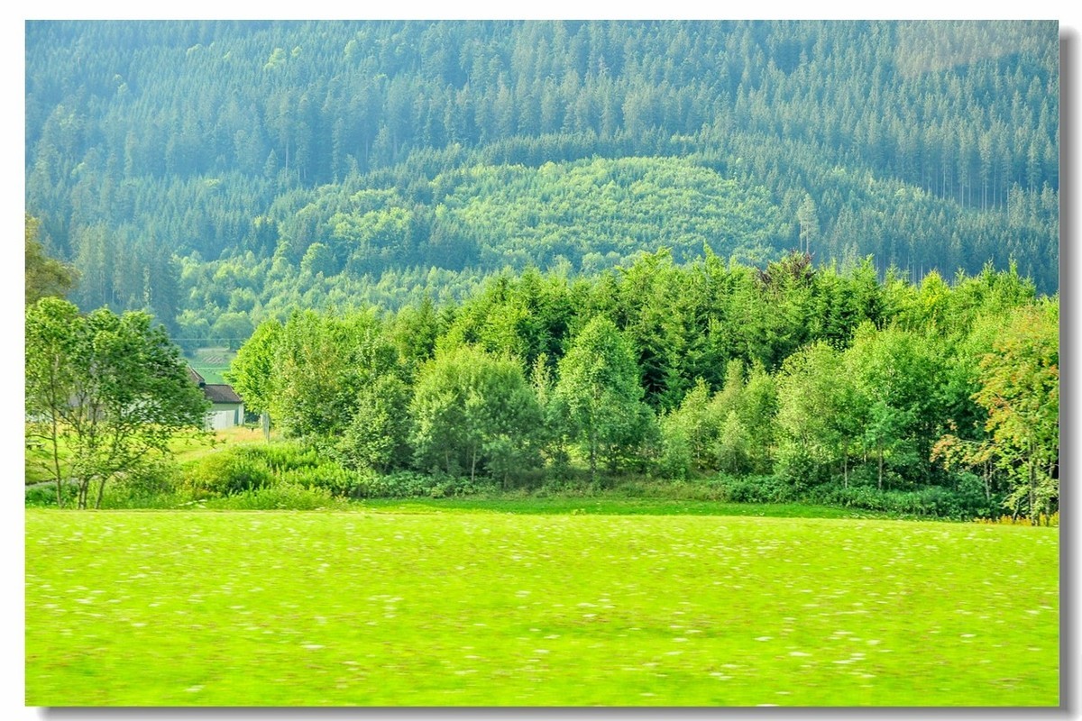 原野德国高黑森林