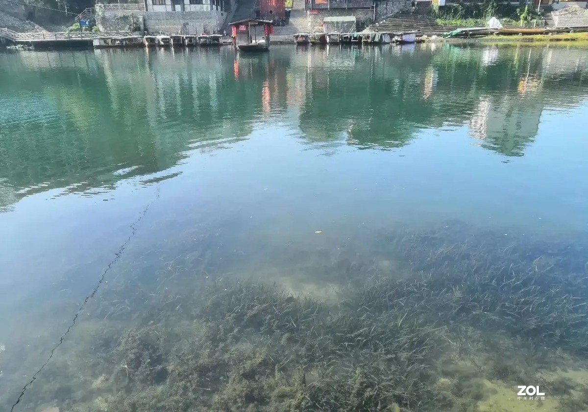 茶桐村（沈从文笔下的《边城》）