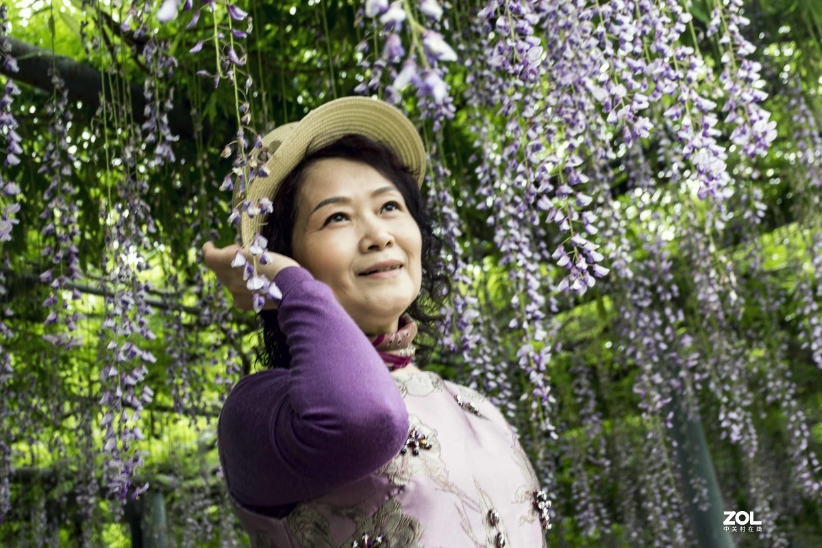 一串紫藤花,穿着紫色的连衣裙美女翩翩起舞.