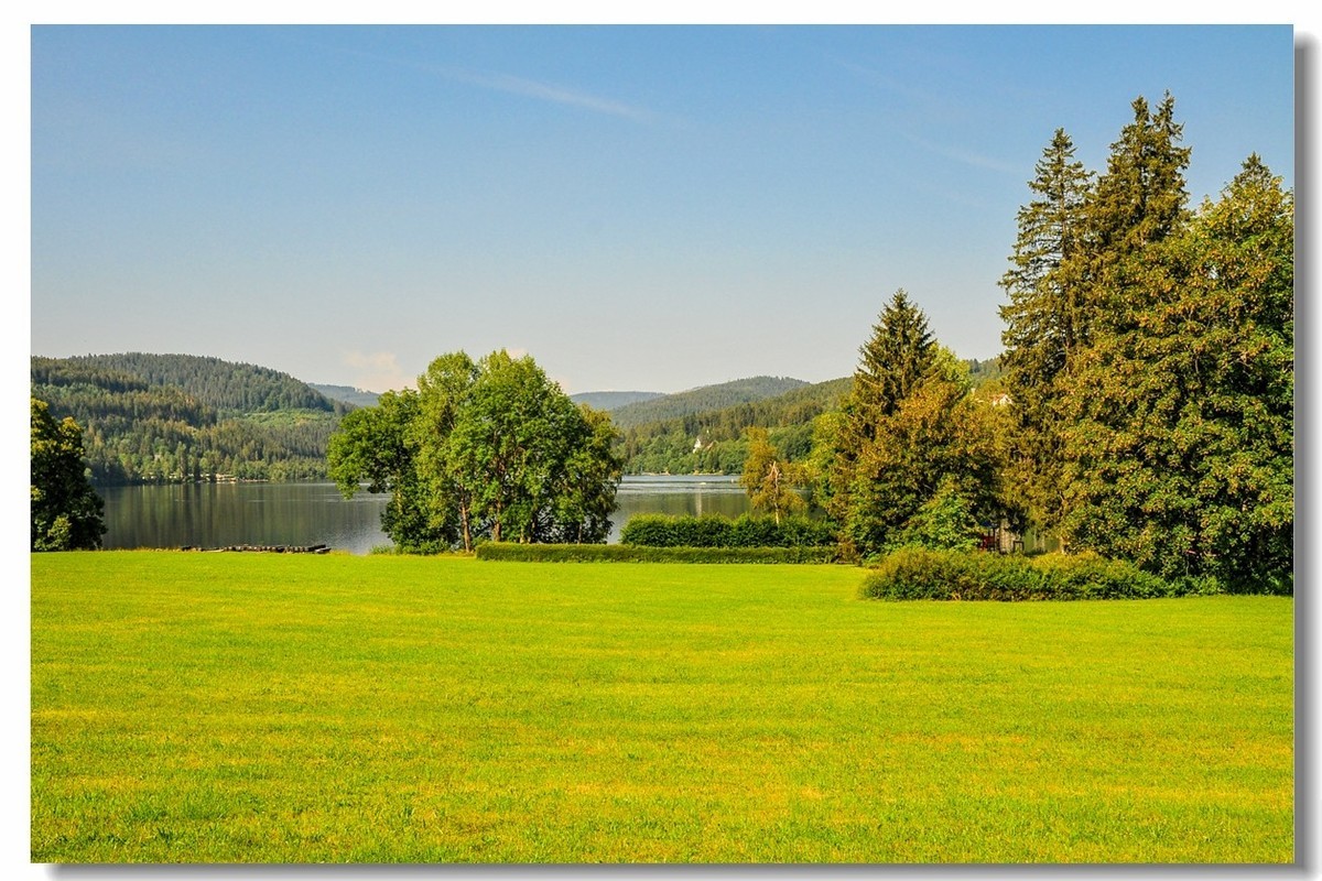 原野德国高黑森林