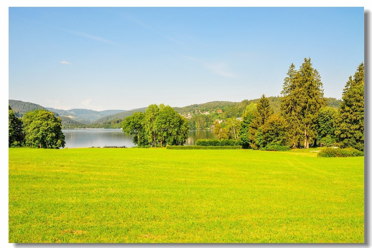 原野德国高黑森林