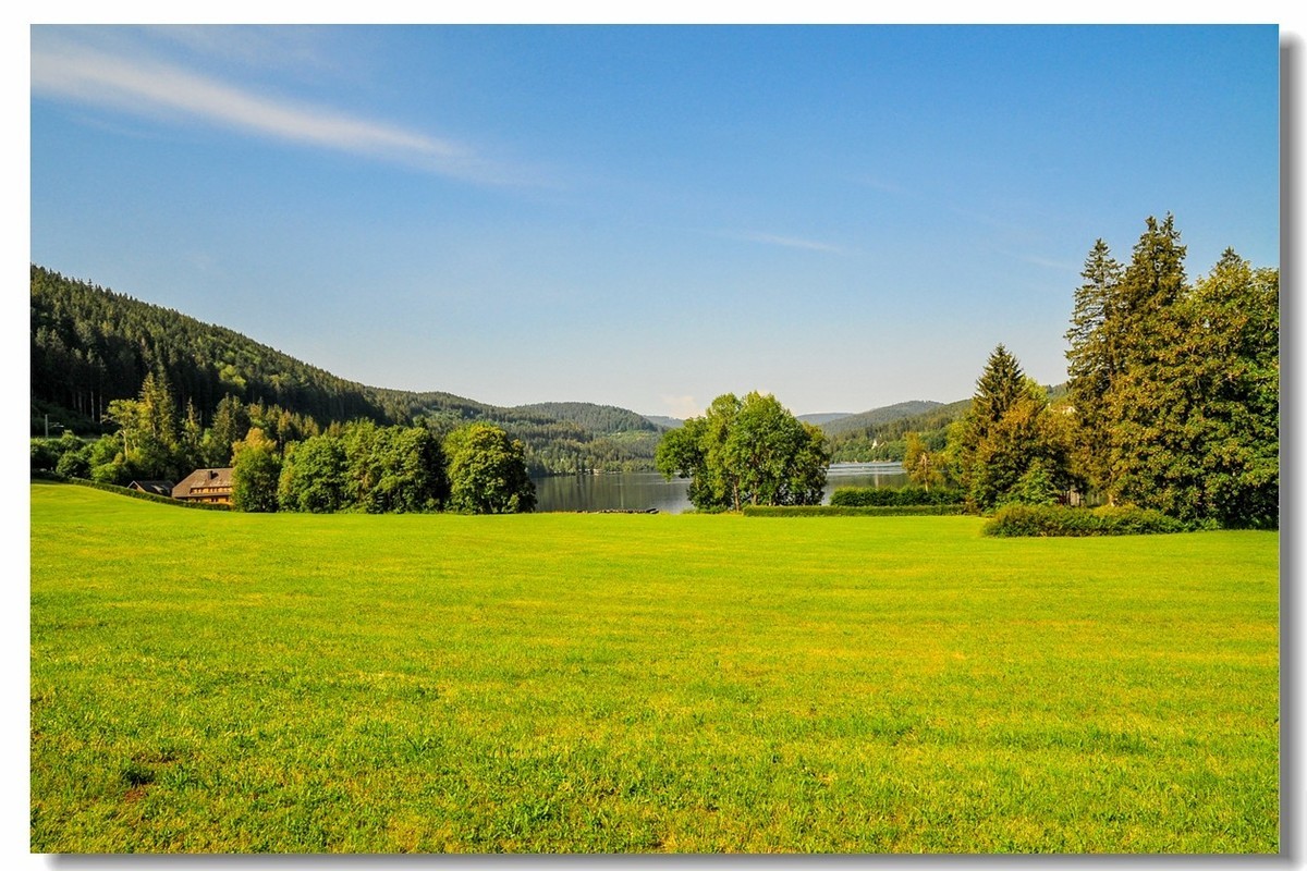 原野德国高黑森林