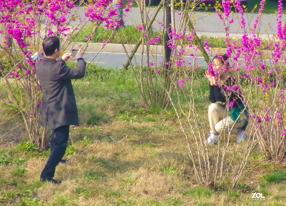 古城脚下春色新