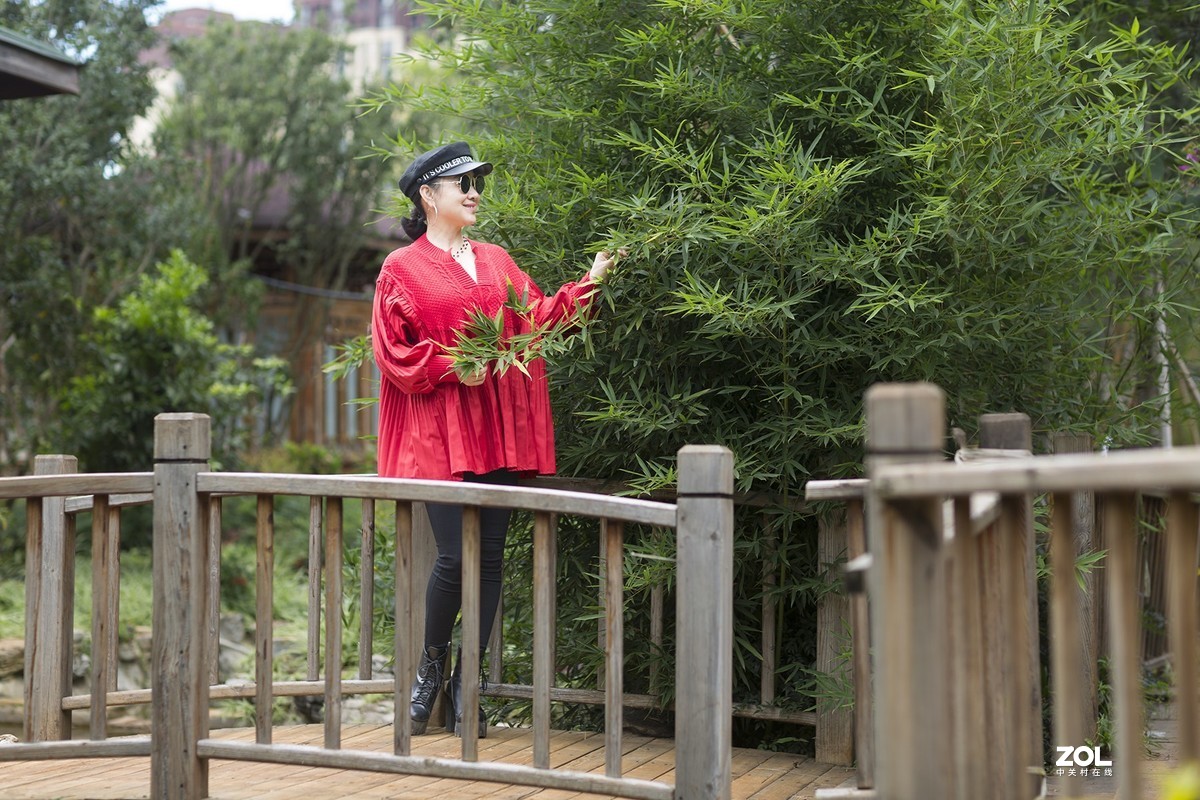 秋将去，冬要来，春天还会远吗？