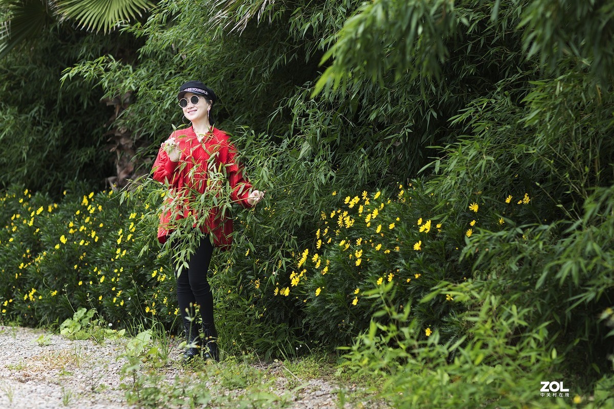 秋将去，冬要来，春天还会远吗？