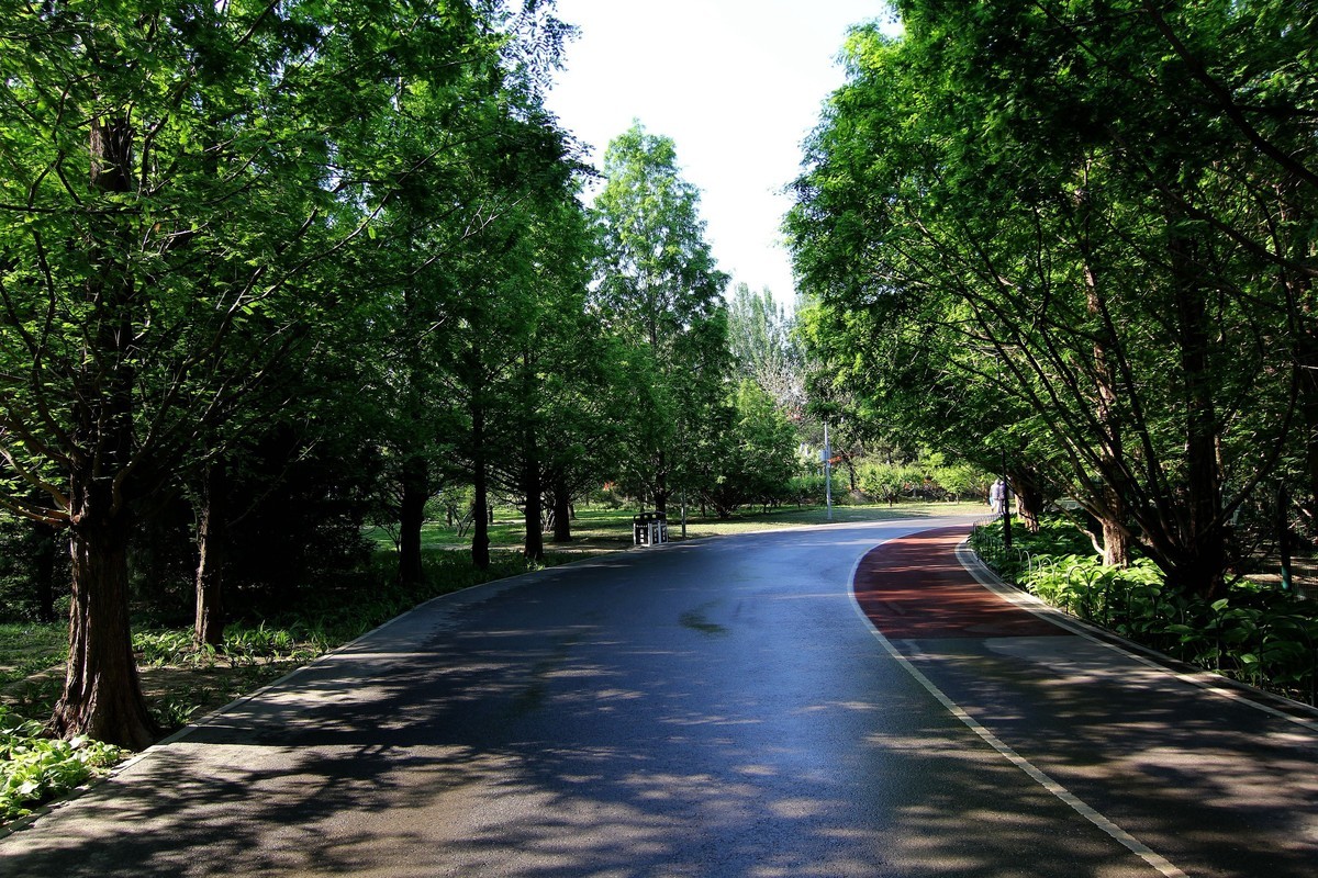 60D图丽11——16试镜