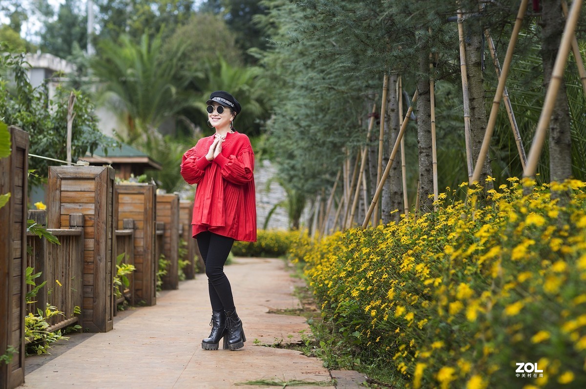 秋将去，冬要来，春天还会远吗？