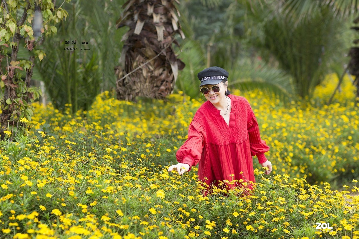 秋将去，冬要来，春天还会远吗？