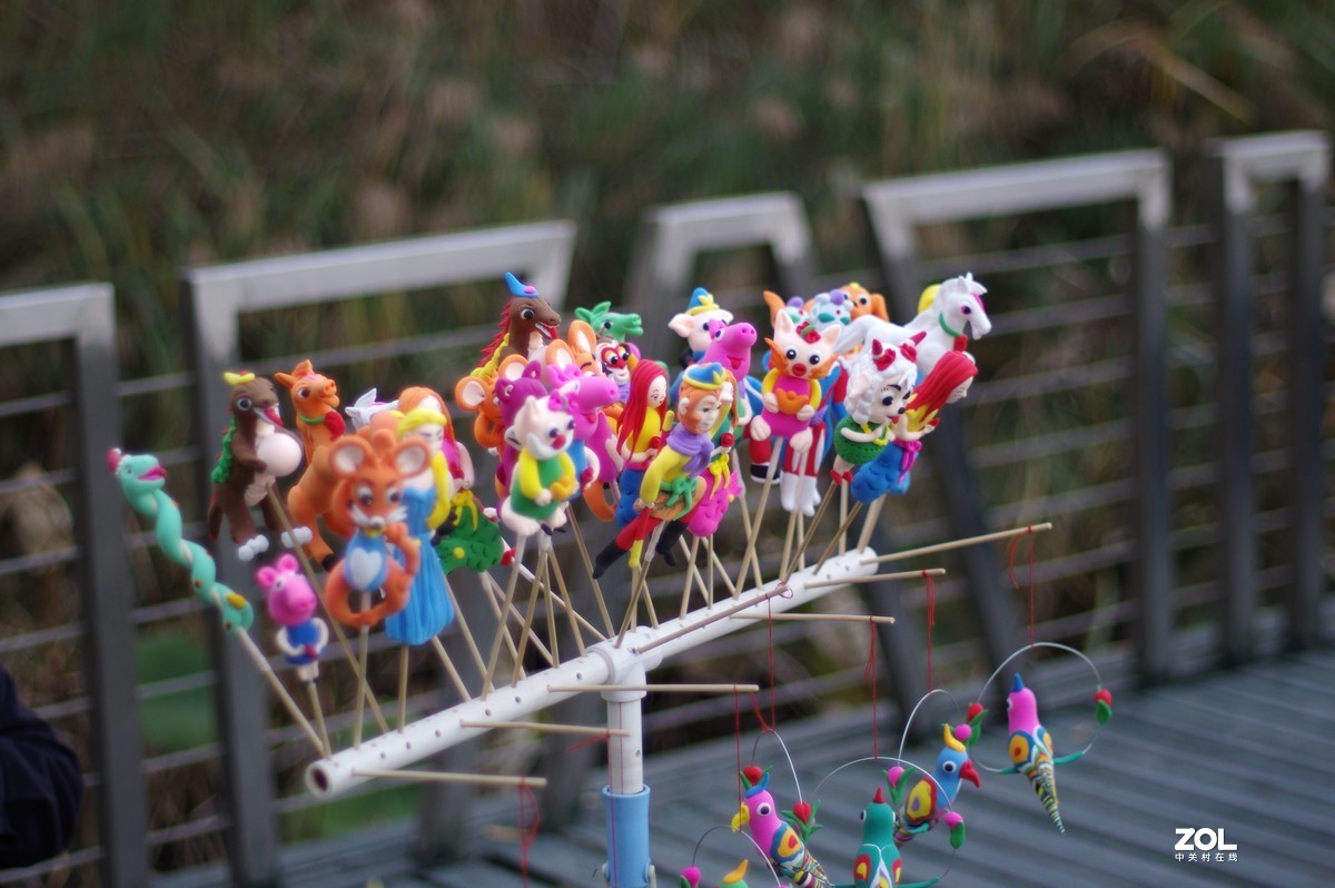 K3+FA50F1.4拍菊展