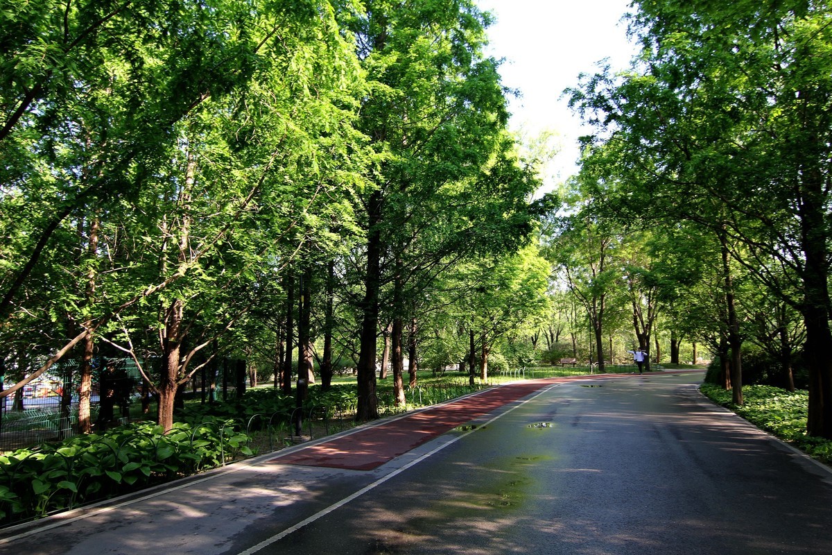 60D图丽11——16试镜