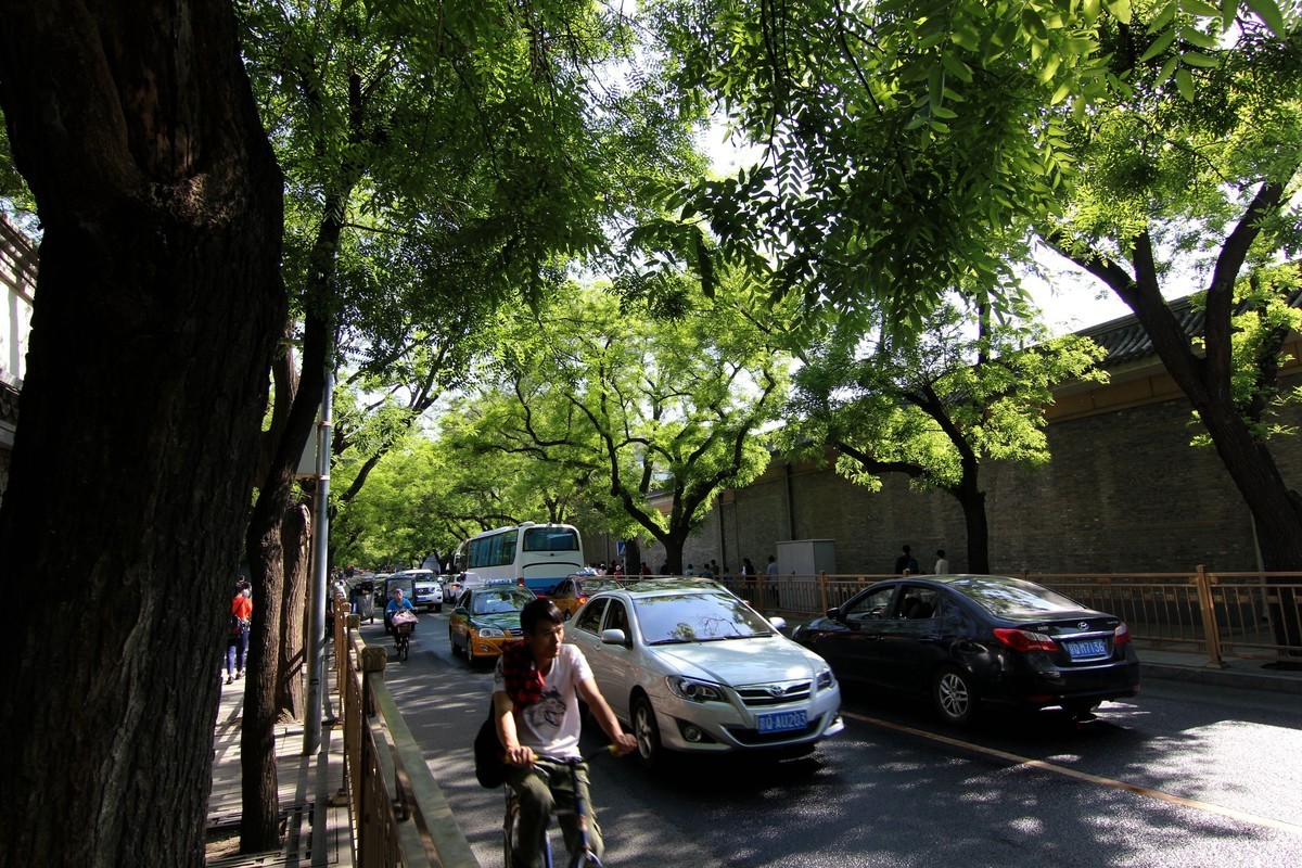 60D图丽11——16试镜