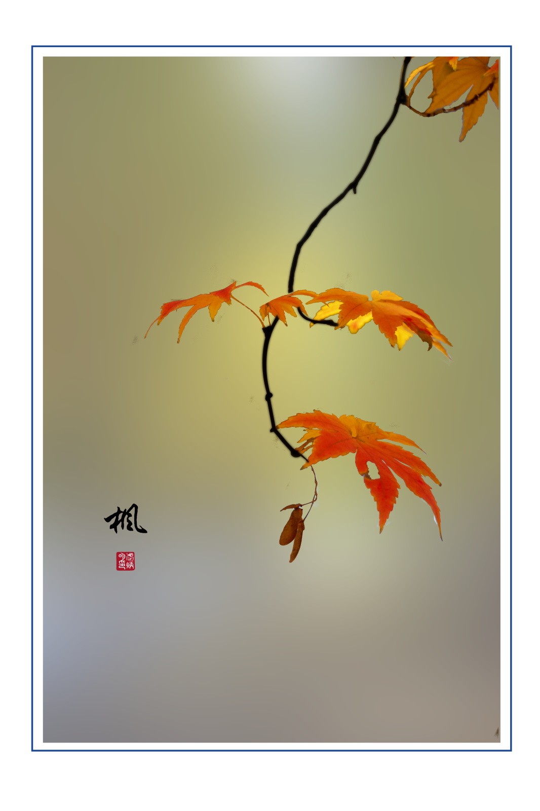 画意枫叶，摄于沈阳北陵公园