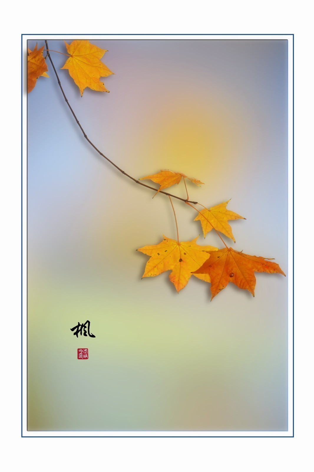 画意枫叶，摄于沈阳北陵公园