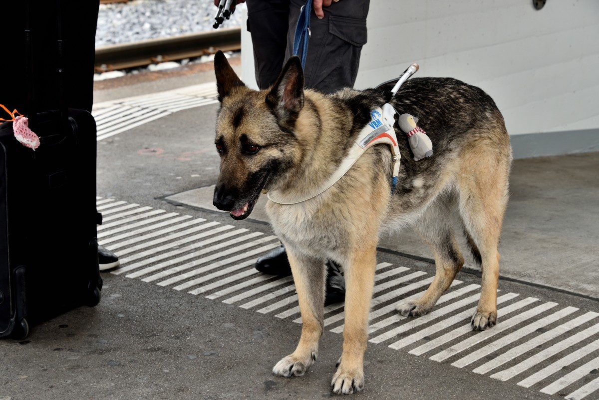 火车环瑞士之旅——洛迦诺【1】