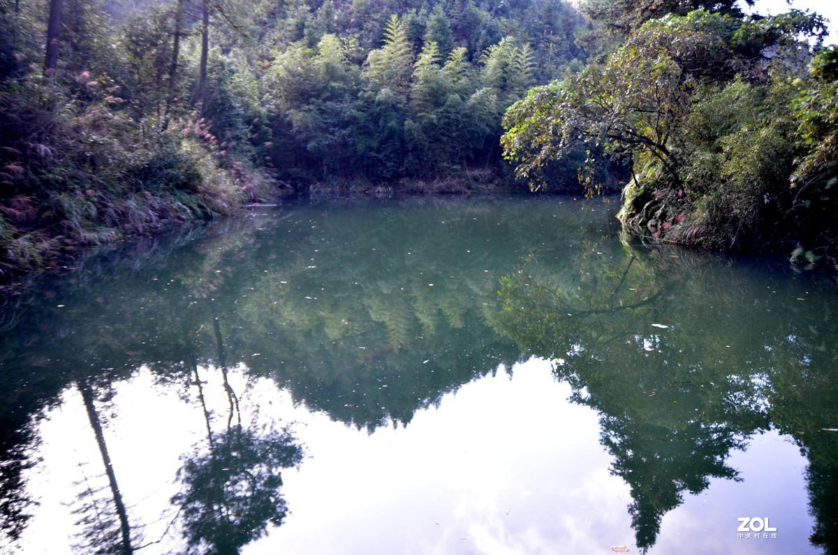茶山竹海  带子山秋色