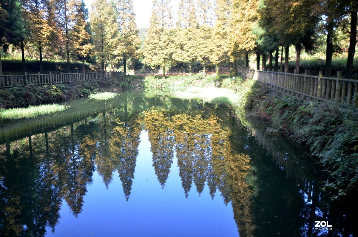 茶山竹海  带子山秋色