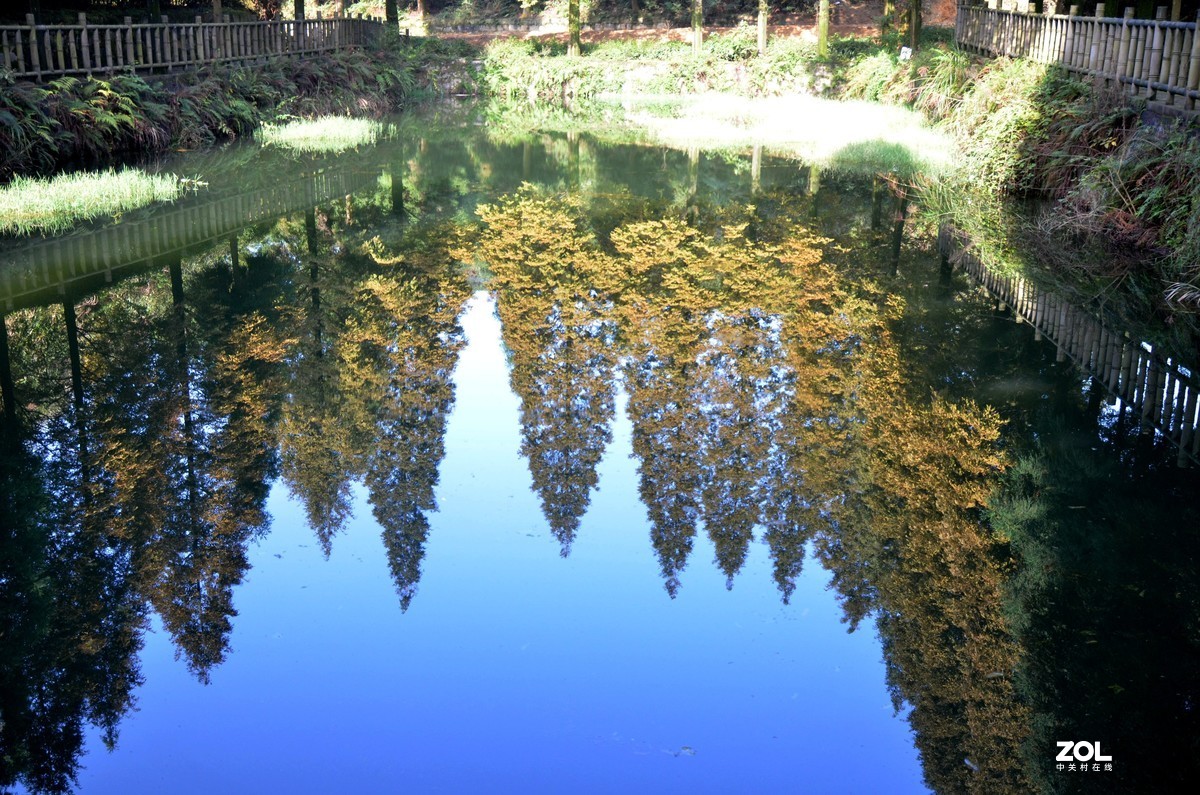 茶山竹海  带子山秋色