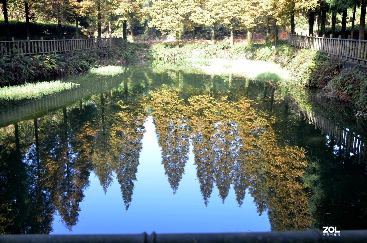 茶山竹海  带子山秋色