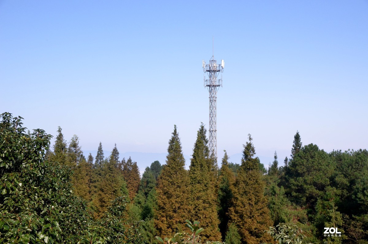 茶山竹海  带子山秋色