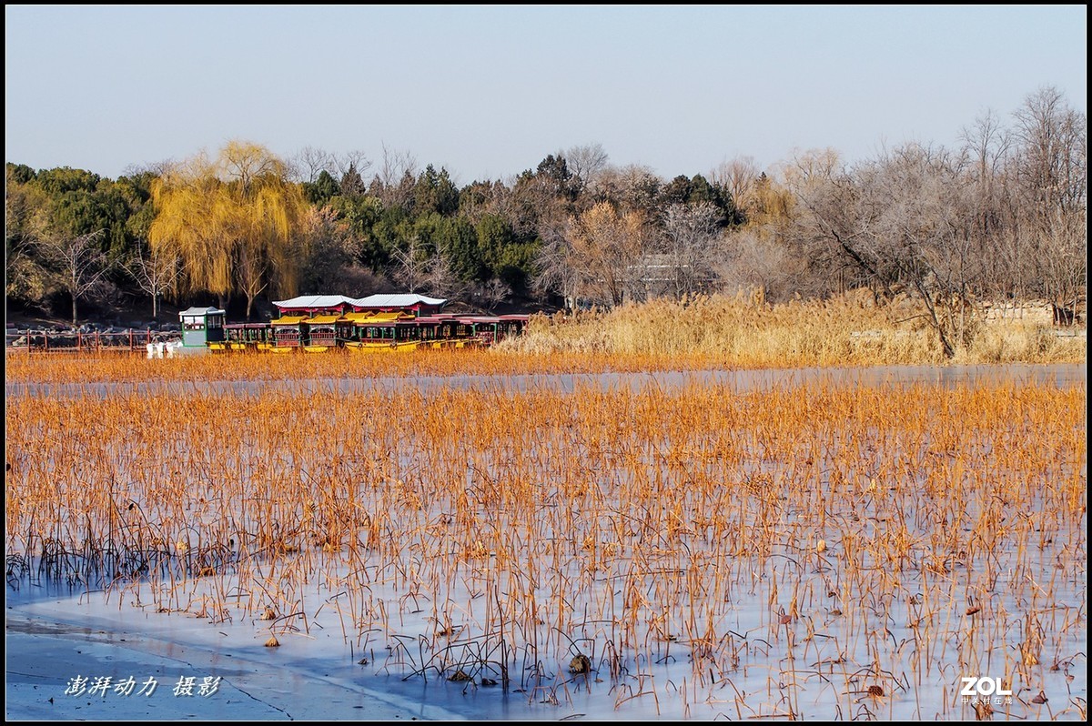 2020即将过去的圆明园之冬