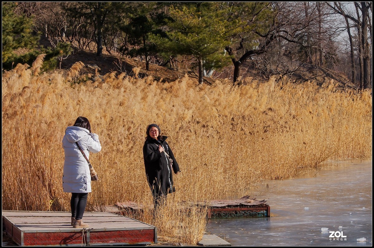 2020即将过去的圆明园之冬